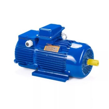Электродвигатель 5MTH 200 LB6 30/1000 IM1003