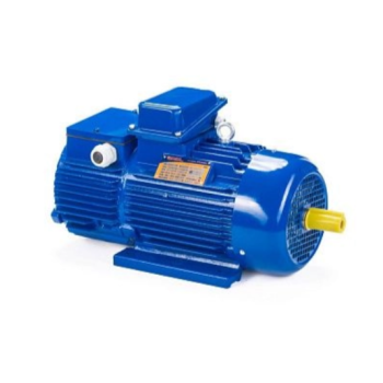 Электродвигатель 5MTH 280 S6 75/955 IM1003