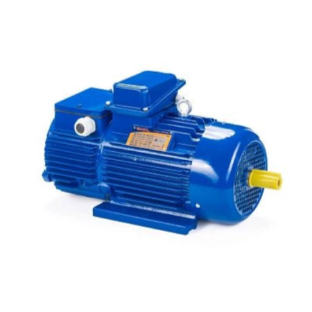 Электродвигатель 5MTH 280 S6 75/955 IM1003