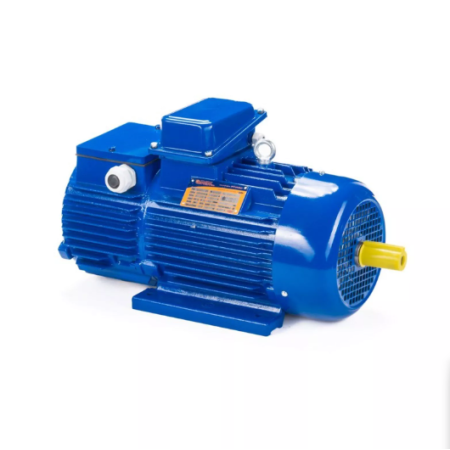 Электродвигатель 5MTH 200 LB8 22/750 IM1003