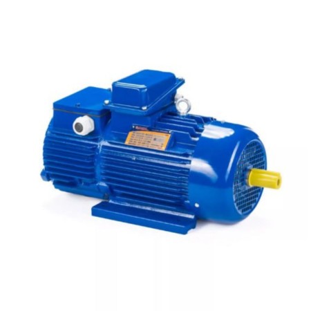 Электродвигатель 5MTH 211 В6 7,5/1000 IM1001